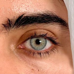 Eyeshare vienna Gray