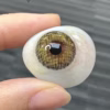 Freshlady Gem Brown