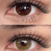 Freshlady Gem Brown