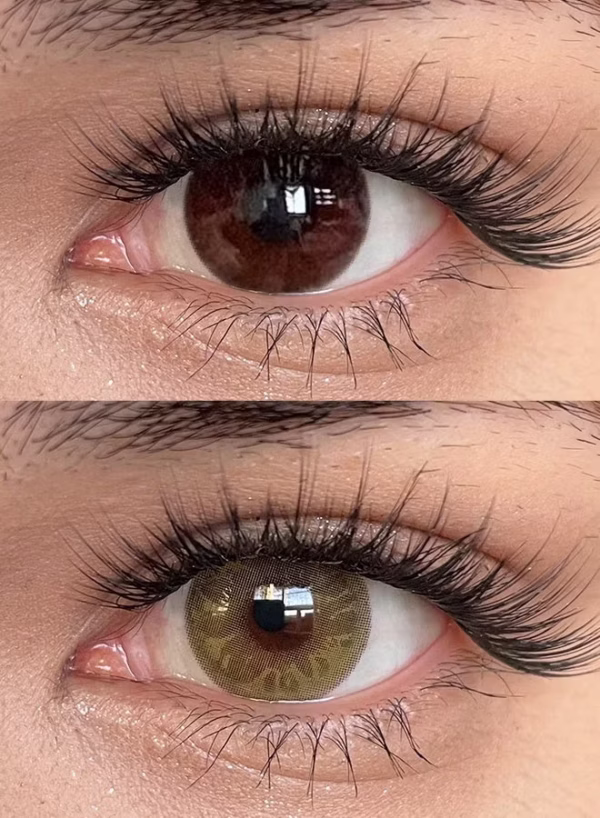 Freshlady Gem Brown